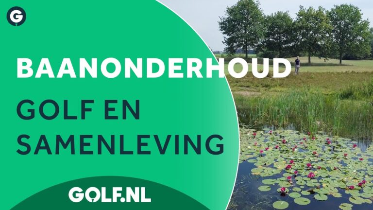 De Impact van de Milieubeweging op de Nederlandse Samenleving